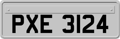 PXE3124