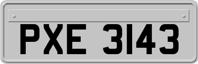 PXE3143