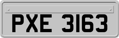 PXE3163