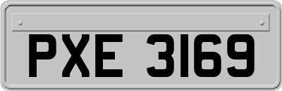 PXE3169