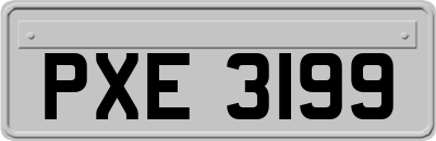 PXE3199