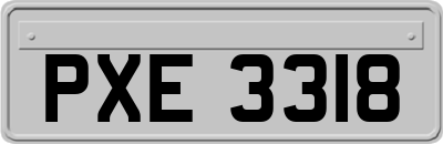 PXE3318