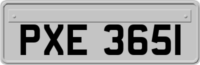 PXE3651