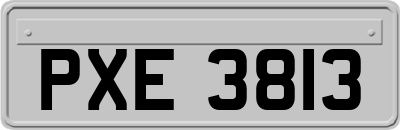 PXE3813