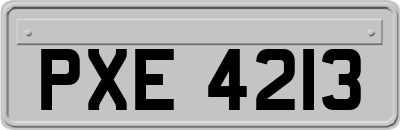 PXE4213