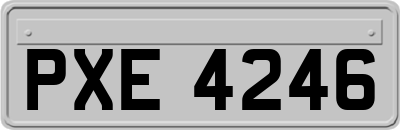 PXE4246