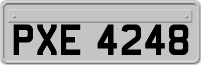 PXE4248