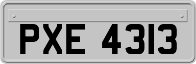 PXE4313