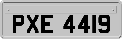 PXE4419