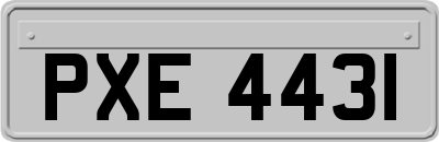 PXE4431