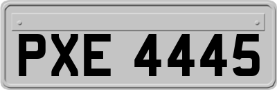 PXE4445