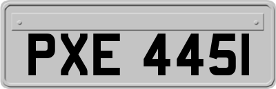 PXE4451