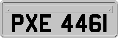 PXE4461