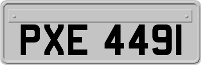 PXE4491