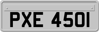 PXE4501