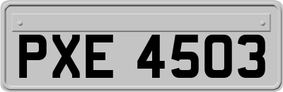 PXE4503