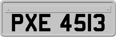 PXE4513