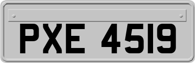 PXE4519