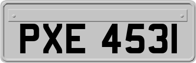 PXE4531