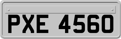 PXE4560