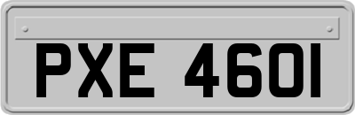 PXE4601