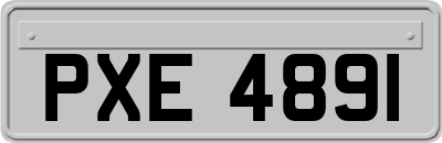 PXE4891