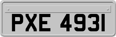 PXE4931