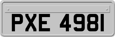 PXE4981