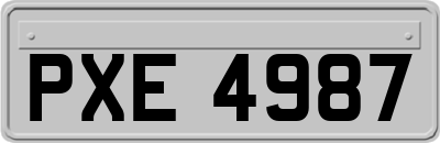 PXE4987