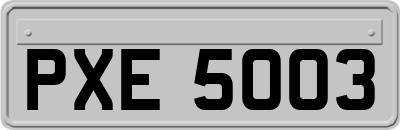 PXE5003