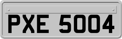 PXE5004