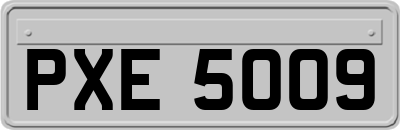 PXE5009