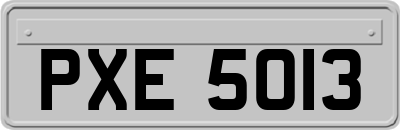 PXE5013