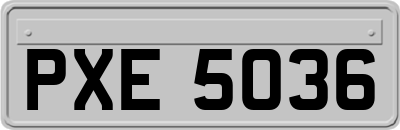 PXE5036