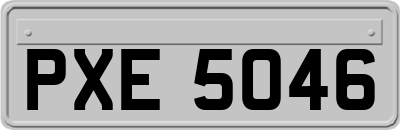 PXE5046