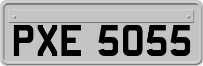 PXE5055