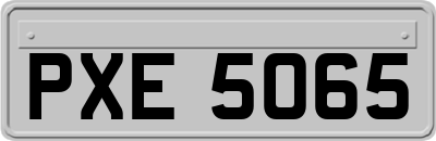 PXE5065