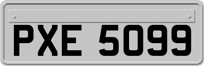 PXE5099