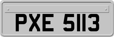 PXE5113