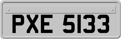 PXE5133