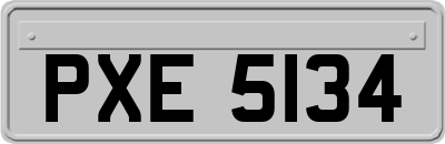 PXE5134