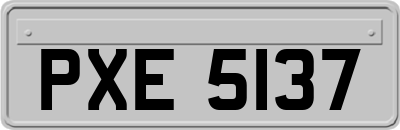 PXE5137