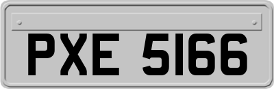 PXE5166