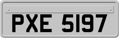 PXE5197