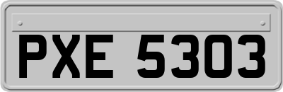 PXE5303