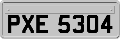 PXE5304