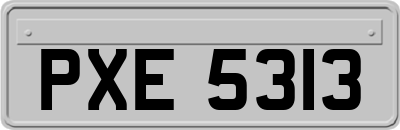 PXE5313