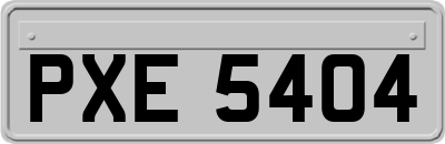 PXE5404