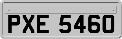 PXE5460
