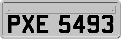 PXE5493